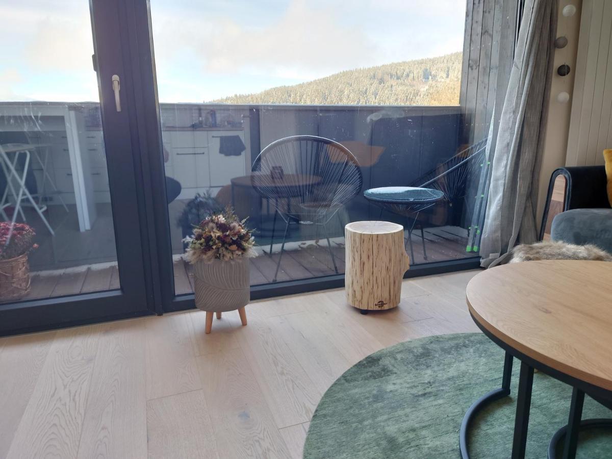 Appartement U Šumavské Lípy à Železná Ruda Extérieur photo