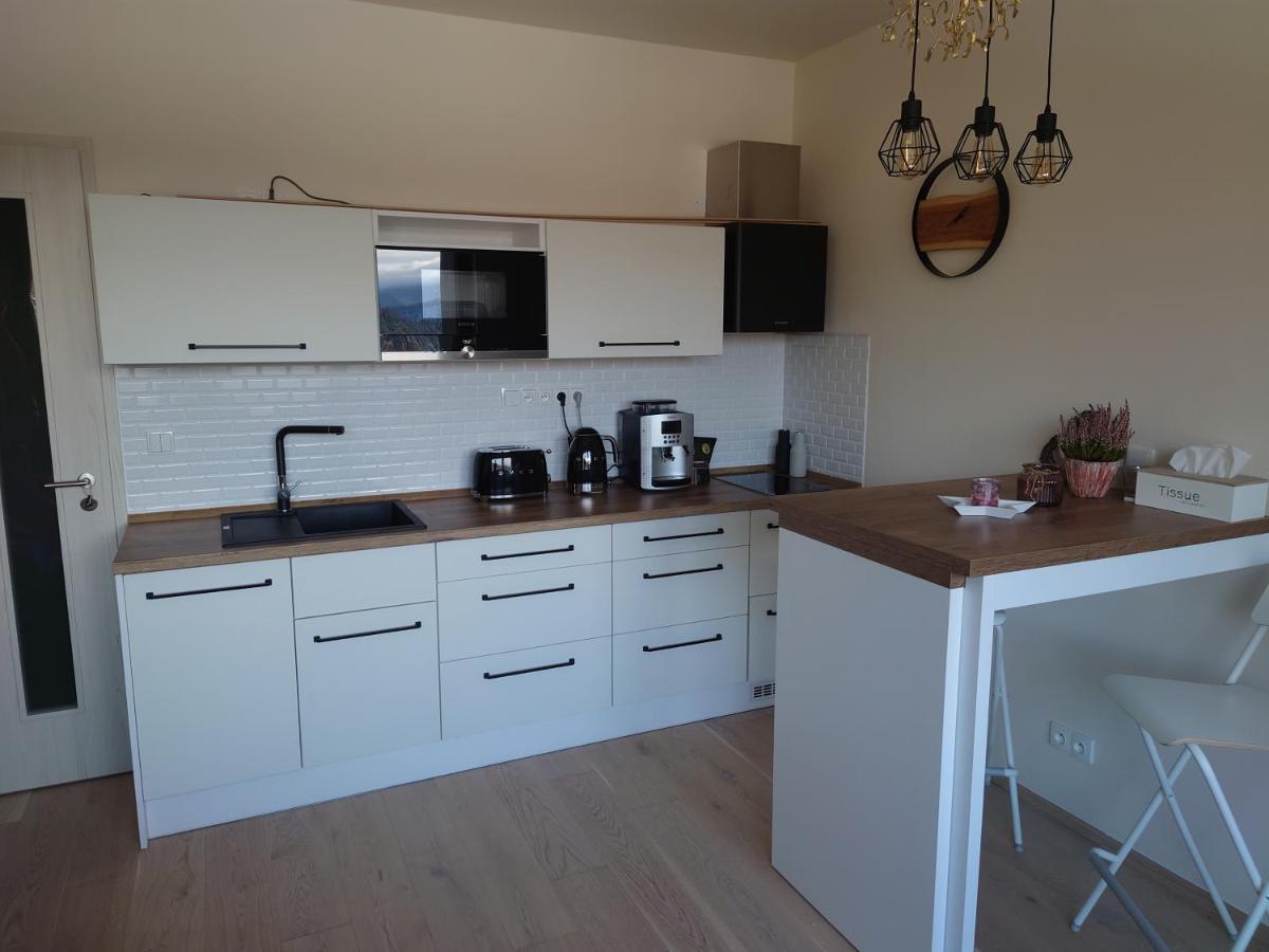 Appartement U Šumavské Lípy à Železná Ruda Extérieur photo