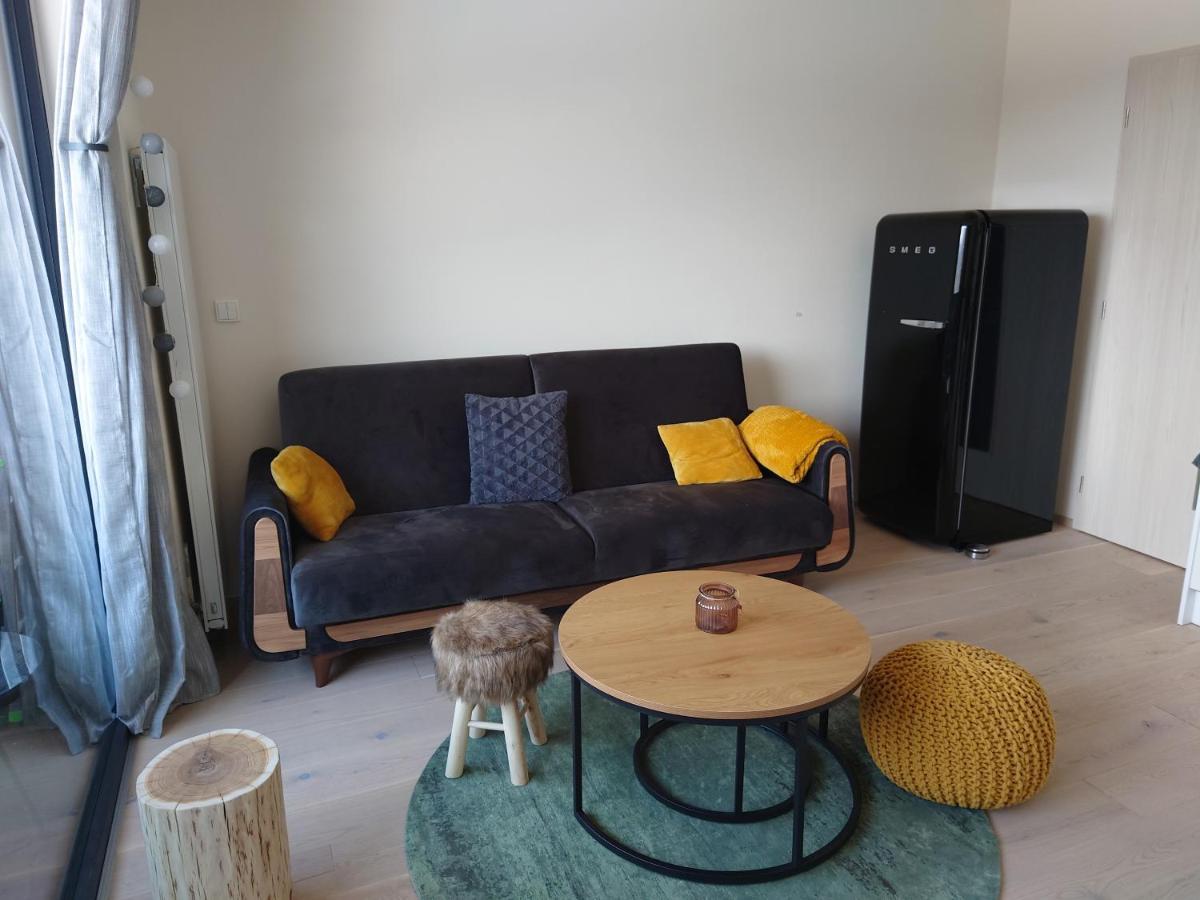 Appartement U Šumavské Lípy à Železná Ruda Extérieur photo